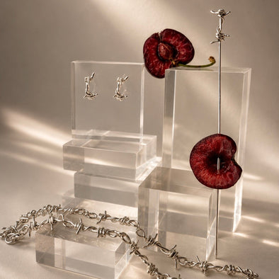 Silver jewelry set including earrings and a necklace on clear stands with a red flower and barbed wire.