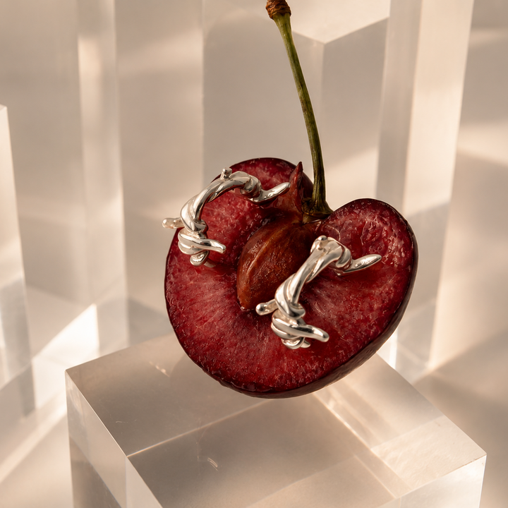 Cherry with silver loops on a geometric white background
