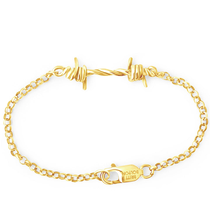 Gold bracelet with a clasp on a white background