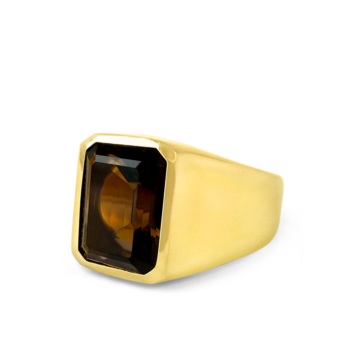 Slick Gemstone Signet 14K