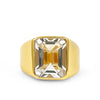 Slick Gemstone Signet 14K
