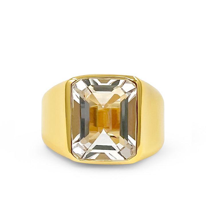 Slick Gemstone Signet 14K
