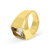 Slick Gemstone Signet 14K