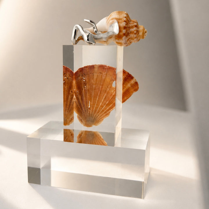 Clear acrylic block with seashells on a white background