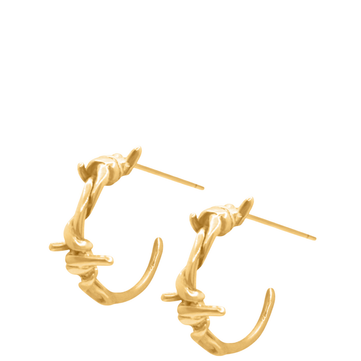 Gold hoop earrings on a white background