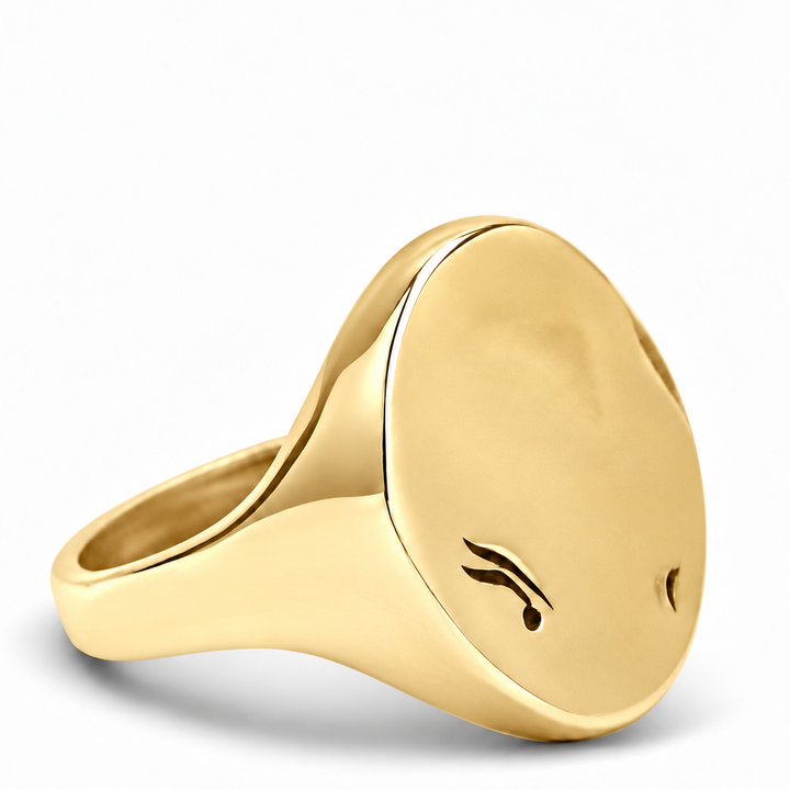 Oval Signet Ring 14k