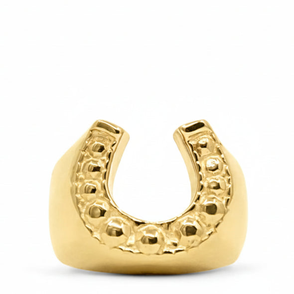 Gold horseshoe charm on a white background